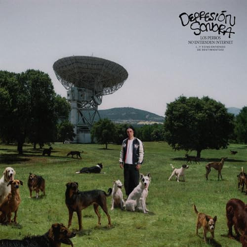 Depresion Sonora Los Perros No Entienden Internet CD