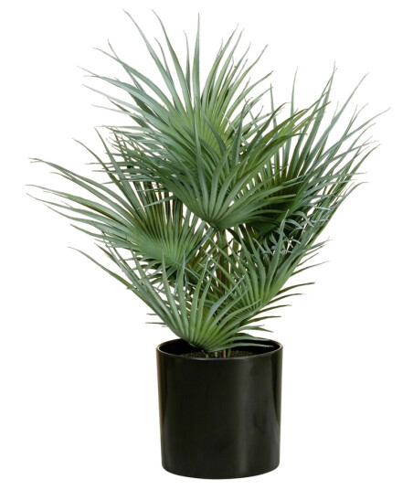 Europalms Fan Palm, Artificial Plant 55cm Europalms Fan Palm, Artificial Plant 55cm