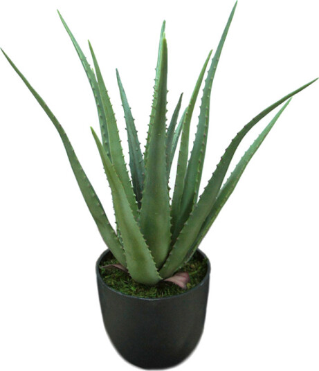 Mr Plant Kunstig Plante Aloe Vera H55 Mr Plant Kunstig Plante Aloe Vera H55