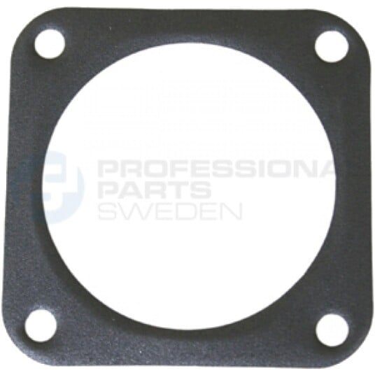 Tetning innsugningsmanifold Professional Parts 21436753