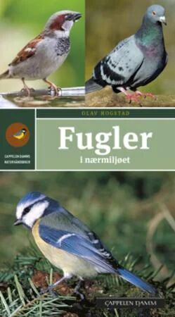 Fugler I Nærmiljøet Av Olav Hogstad