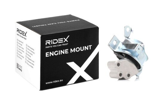 Motorfeste RIDEX 247E0769 Motorfeste RIDEX 247E0769