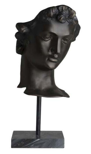 David statue bronse