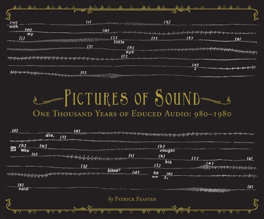 Diverse Artister, Patrick Feaster Pictures Of Sound One Thousand Years Of Educed Audio: 9801980 CD