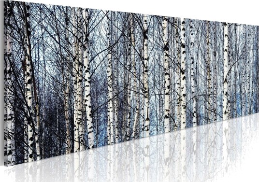 Bilde Hvite Bjørker 120x40 Artgeist sp. z o. o.