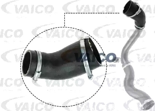 VAICO V25 1029 Ladeluftslange