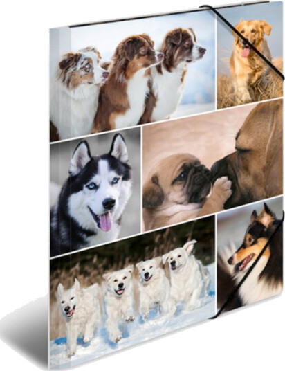 HERMA 3-flap folder - for A4 - dogs HERMA 3-flap folder - for A4 - dogs