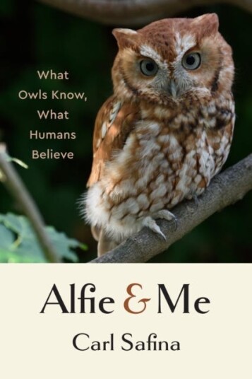Alfie And Me Av Carl Safina