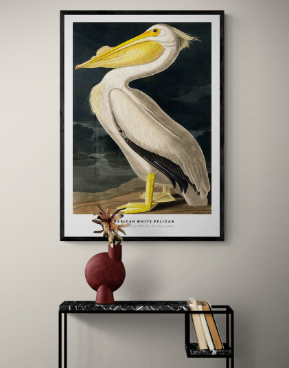 American White Pelican av Plakatwerket