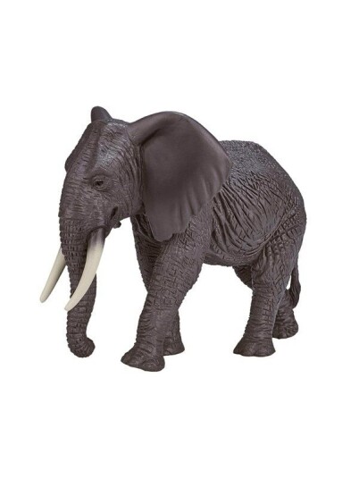 Mojo   Wildlife African Elephant   387189