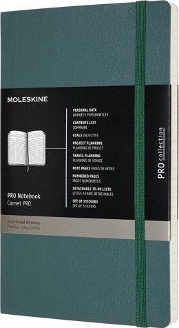Pro Soft Linjerad Large Grøn