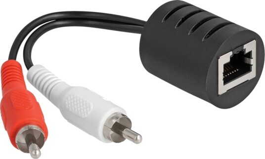 Delock Audioadapter Rj 45 Hunn Til Rca X 2 Hann Svart En Pakke 2