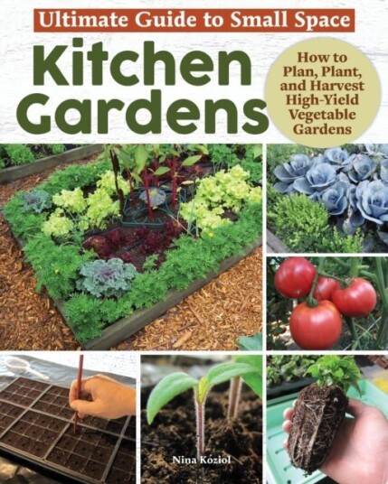Ultimate Guide: Small Space Kitchen Gardens