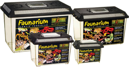 Faunarium Nr 4 37X22X25Cm Terrarium Av Plast Faunarium Nr 4 37X22X25Cm Terrarium Av Plast