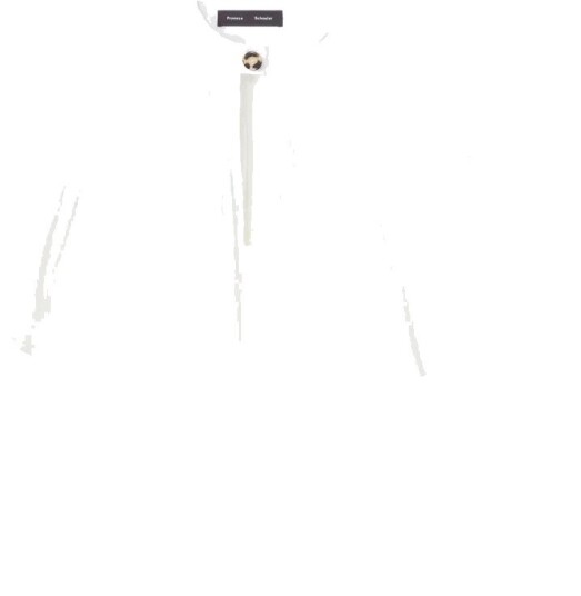 Proenza Schouler Dame Bluser & Skjorter Hvit XS,