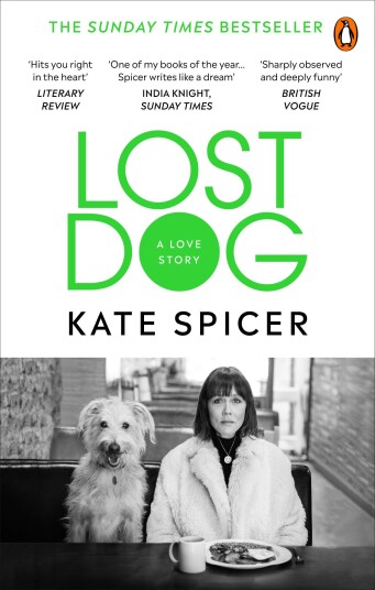 Lost Dog  A Love Story