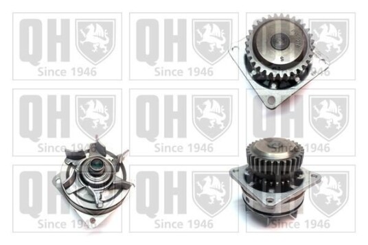 QUINTON HAZELL QCP3689 Vannpumpe