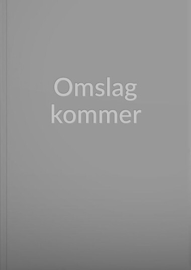 Nye perspektiv på verftshistorien