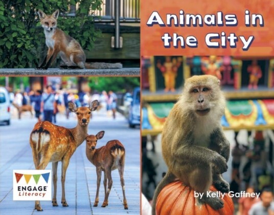 Animals in the City Animals in the City