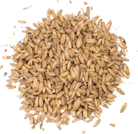 Château Oat Malt 250g Knust 2 EBC - Castle malting