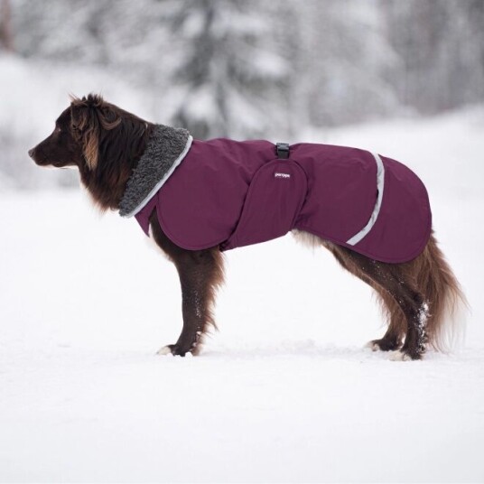 Pomppa Toppa Vinterdekken Hund Lilla (52 cm)