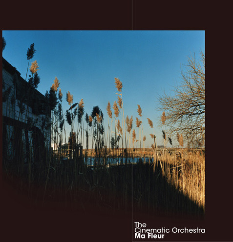The Cinematic Orchestra Ma Fleur CD