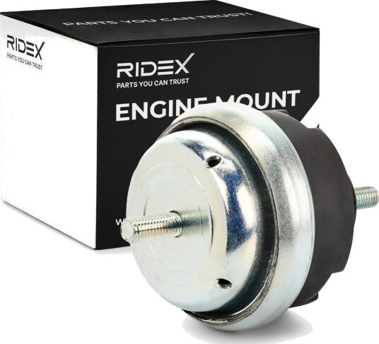 RIDEX 247E0099 Motorfeste