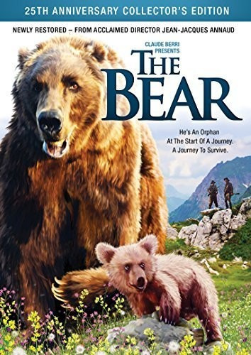 Bear DVD
