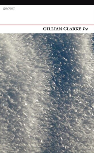 Ice Ice