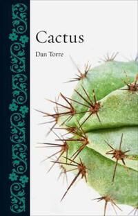 Cactus Av Dan Torre