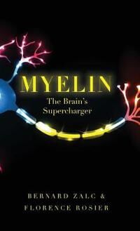 Zalc Bernard Myelin