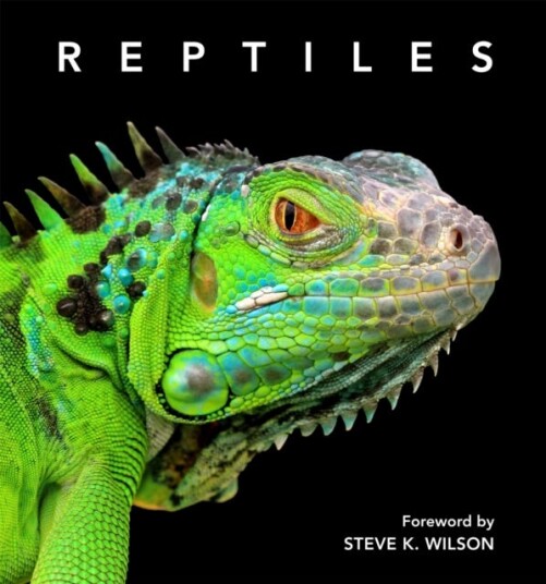 Reptiles  Deluxe Series