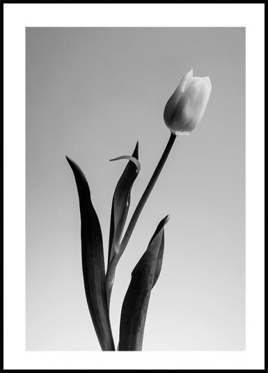 Serendipity Plakat Plakat / 100x150cm