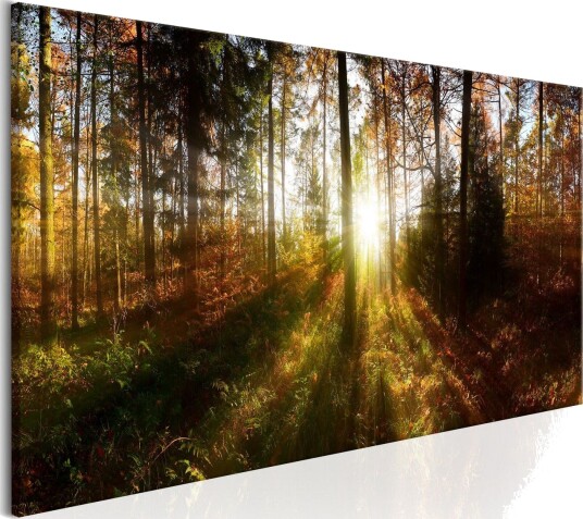 Tavle Beautiful Forest 120X40 Artgeist sp. z o. o.