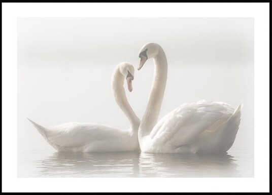 Forever Plakat / 50x70cm Forever Plakat / 50x70cm