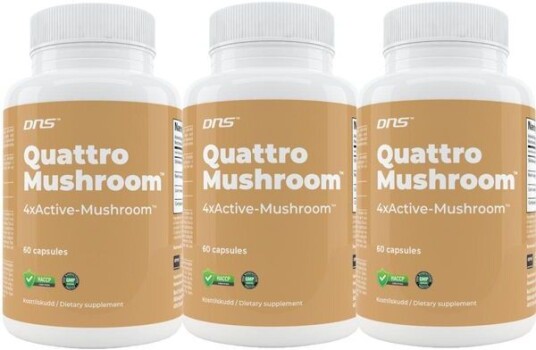 DNS 3-Pack Quattro Mushroom ™ 1600 Mg - 3 X 60 Kapsler