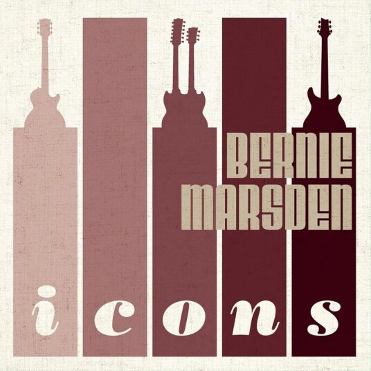 Icons Vinyl