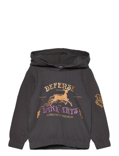Harry Potter Sweats Grey 104