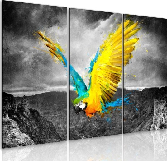 Bilde Fugl Av Paradis 60x40 Artgeist sp. z o. o.