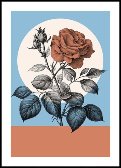 Botanical In Color Plakat Plakat / 70x100cm