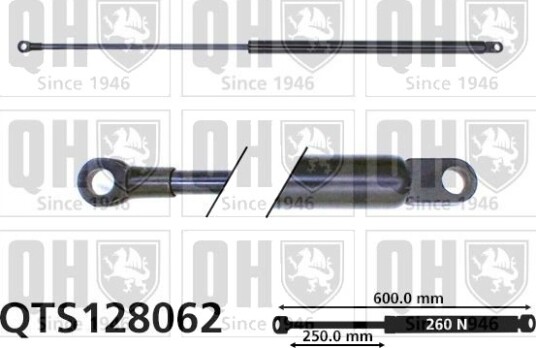 QUINTON HAZELL QTS128062 Baklukedemper