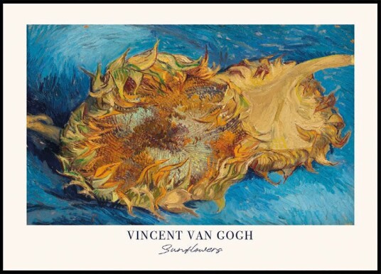 Sunflower by Van Gogh plakat Plakat / 100x150cm