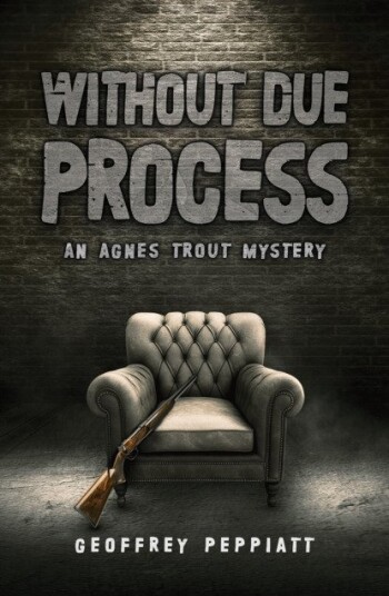 Without Due Process  An Agnes Trout Mystery