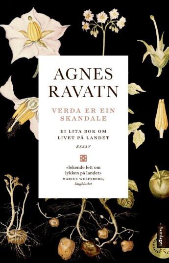 Verda Er Ein Skandale Av Agnes Ravatn