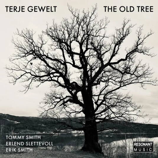 Terje Gewelt The Old Tree CD