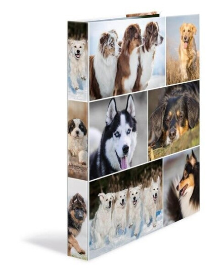 HERMA Ring binder A4 cardboard 4D dogs HERMA Ring binder A4 cardboard 4D dogs