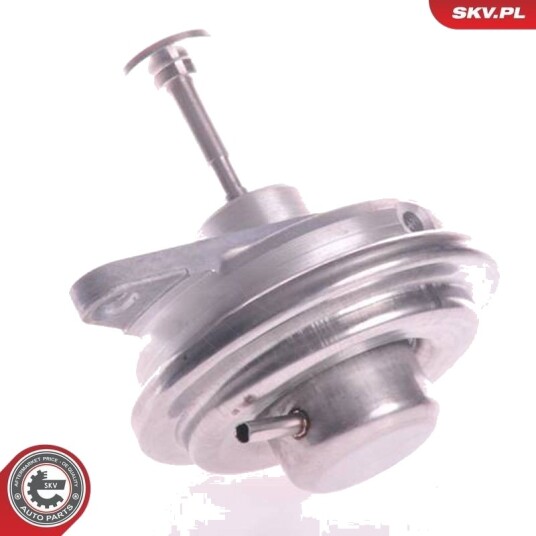 EGR-ventil ESEN SKV 14SKV022