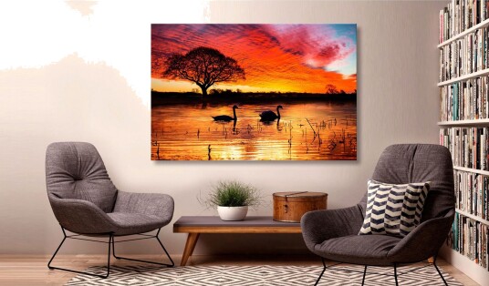 Tavle Swan Lake 120X80 Artgeist sp. z o. o.