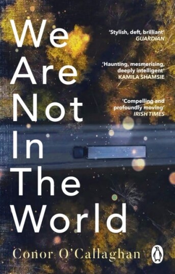 We Are Not in the World ‘compelling and profoundly moving’ Irish Times We Are Not in the World ‘compelling and profoundly moving’ Irish Times