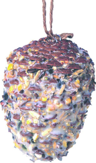 Fuglemat Kjempekongle kg01